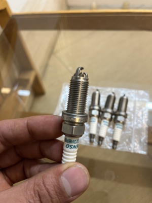 شمع دنسواورجینال خرچنگیtu5